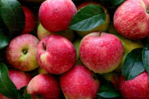 Read more about the article Why Organic  and Sustainable Practices are important in Apple Management
